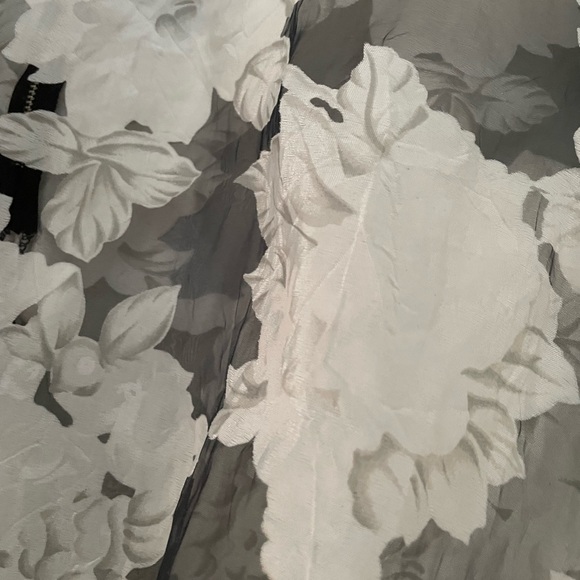 Sheer Blouse - Picture 4 of 4